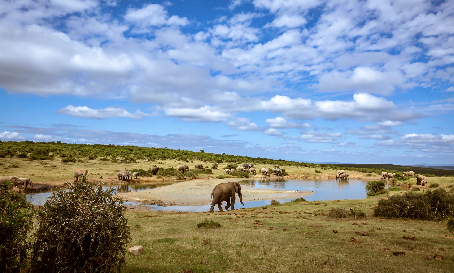 safari mondial travel